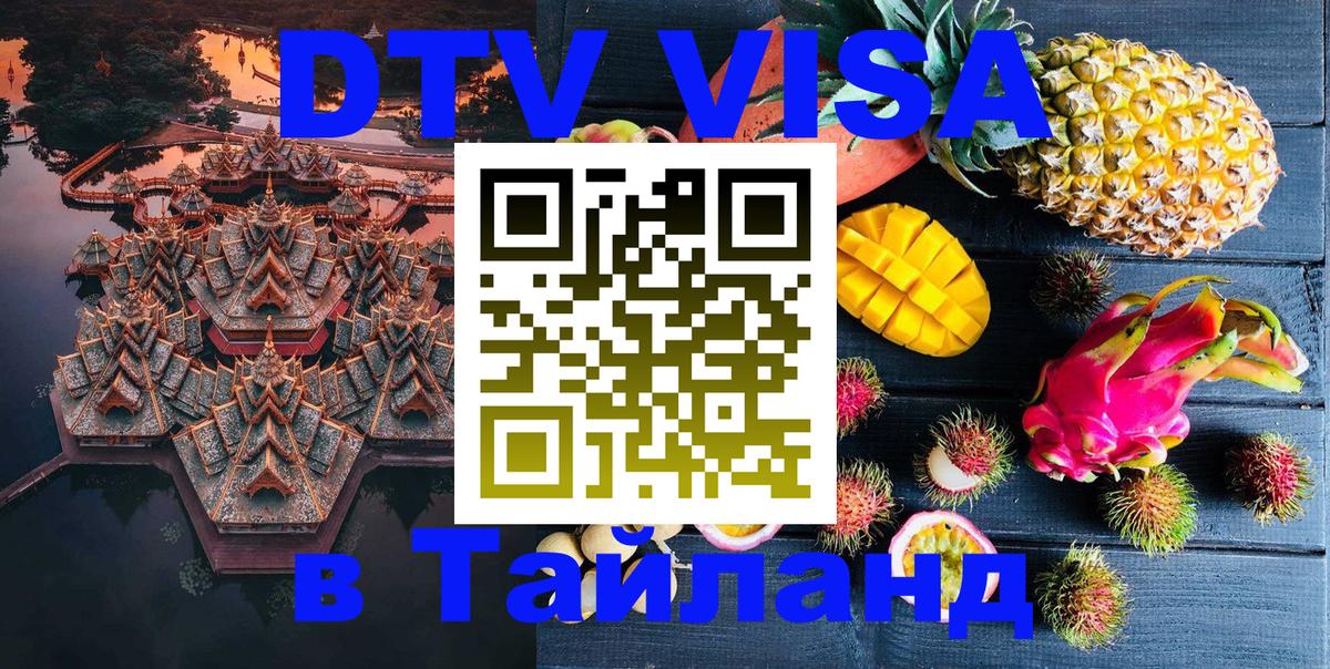 Оформление DTV визы под ключ: стоимость и тарифы, только загранпаспорт - 